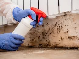 Best Water Damage & Mold Remediation  in Merrionette Park, IL